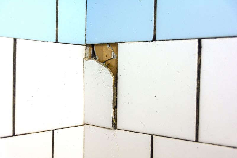 Damaged Tile Replacement